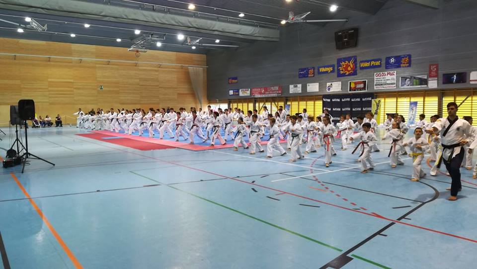 Exhibicion Fiesta Mayor 2017