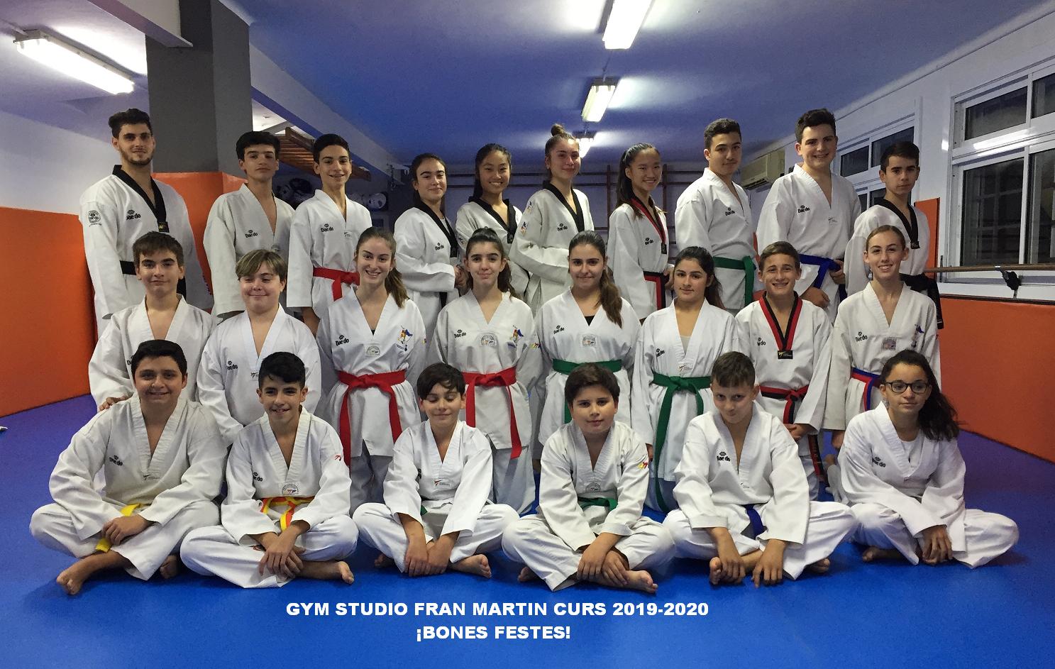 Curso Taekwondo y Hapkido 2019-2020