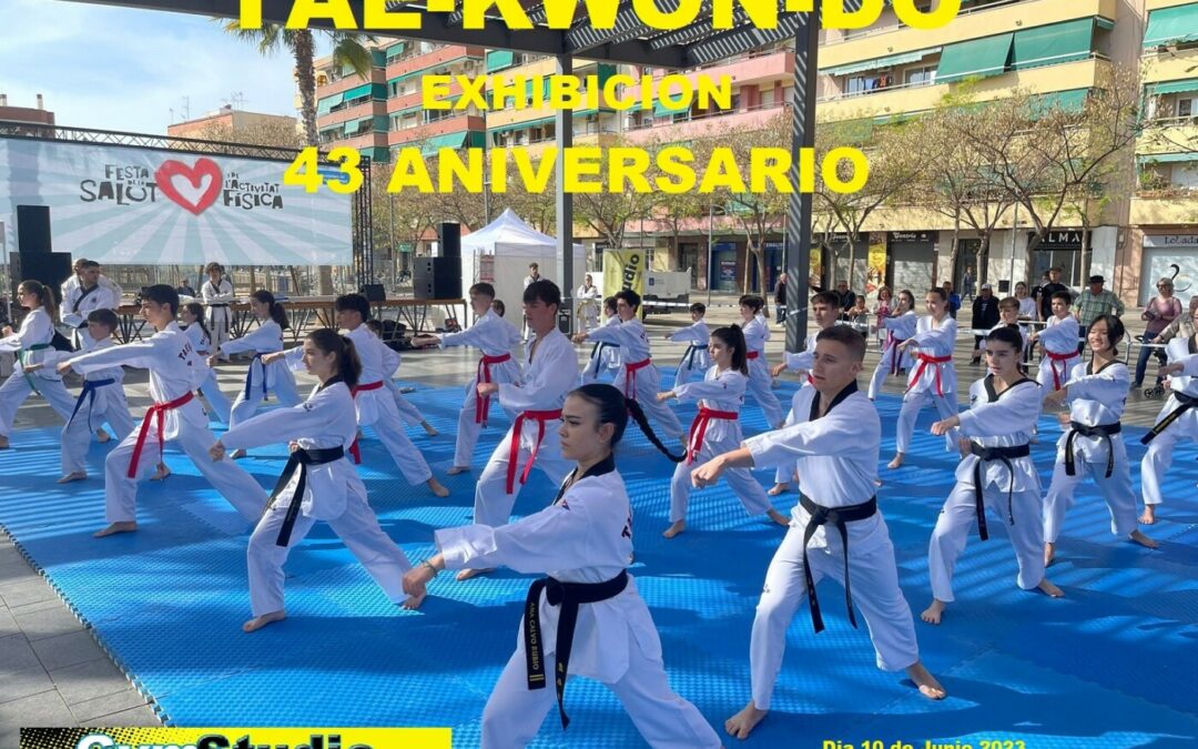 43 aniversario taekwondo en el Prat