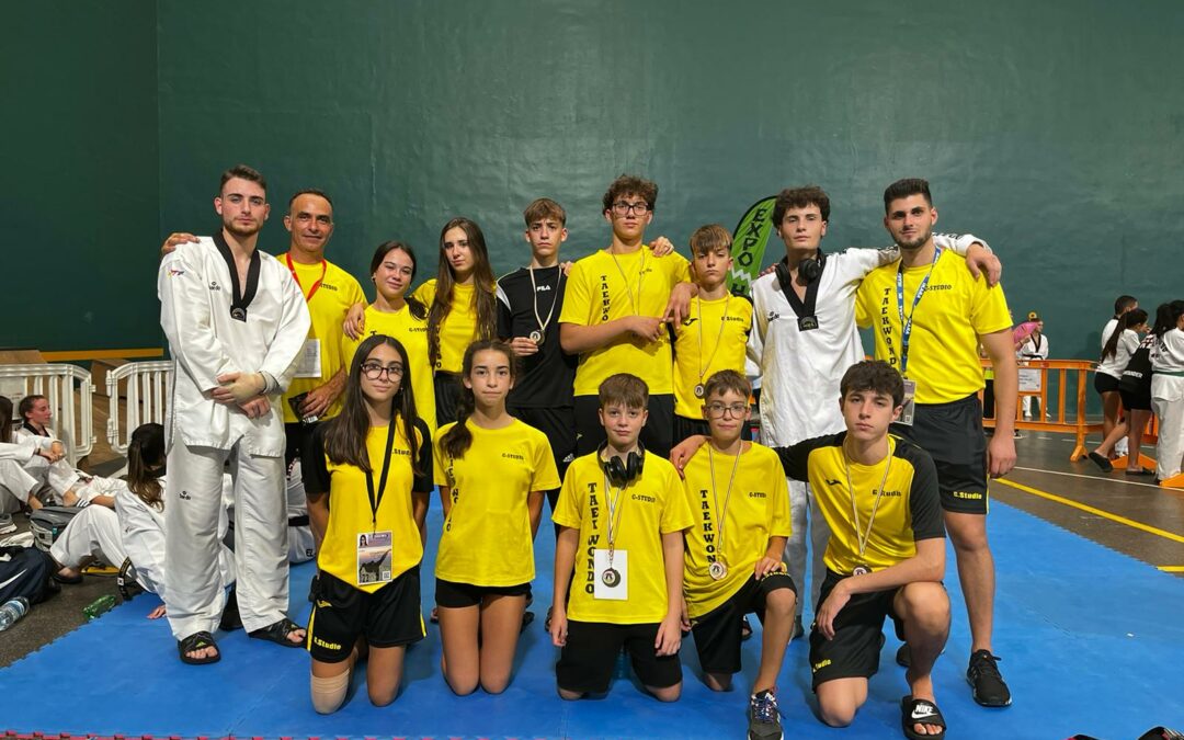 1 CLASIFICADO OPEN DE TAEKWONDO INTERNACIONAL LA VENDIMIA LOGROÑO 2023